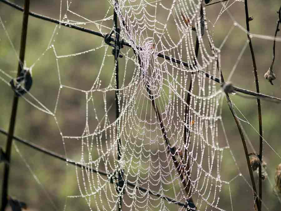 creation-site-web-1